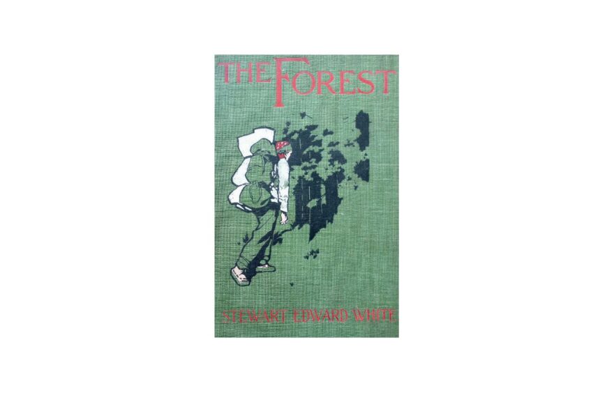 Pobierz za darmo: The Forest autora Stewarta Edwarda White'a